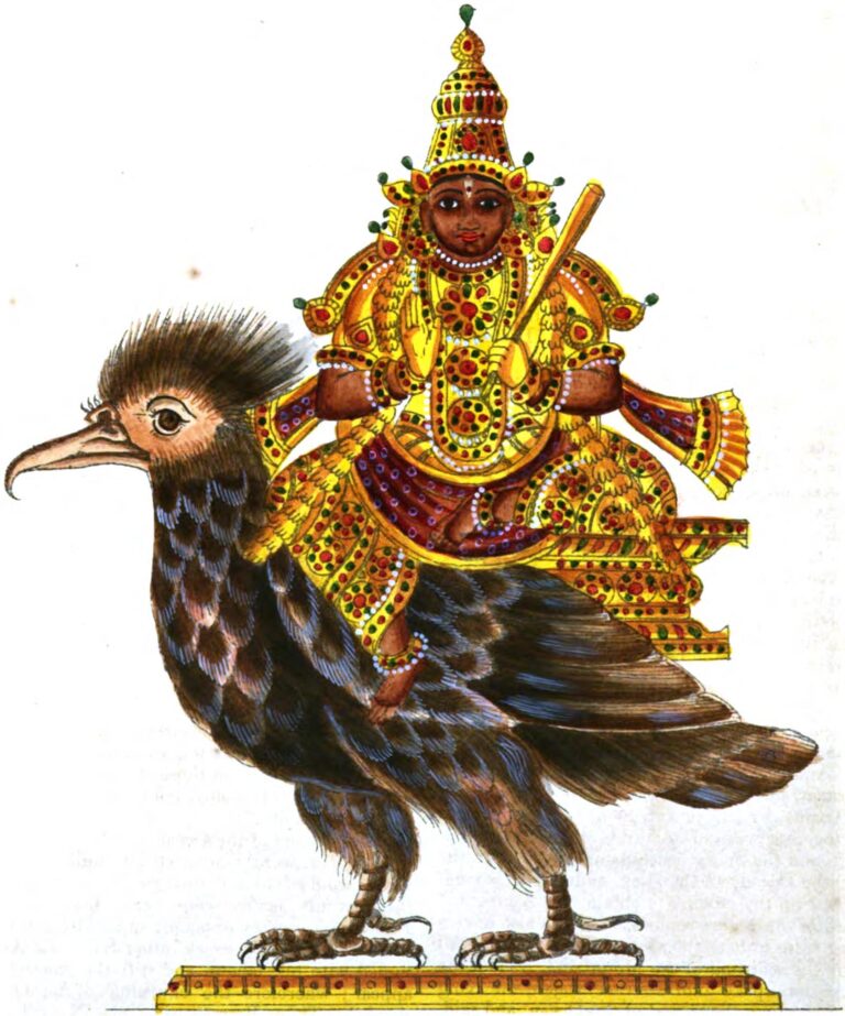 Ketu in 1st House: Synastry, Natal, Transit